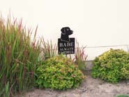 dog memorial in a scenic background